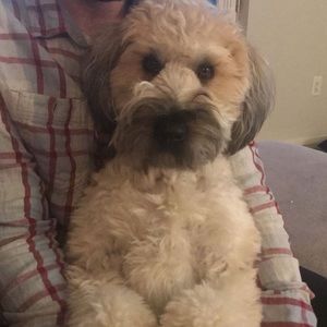 Meet your Posher, Anthony